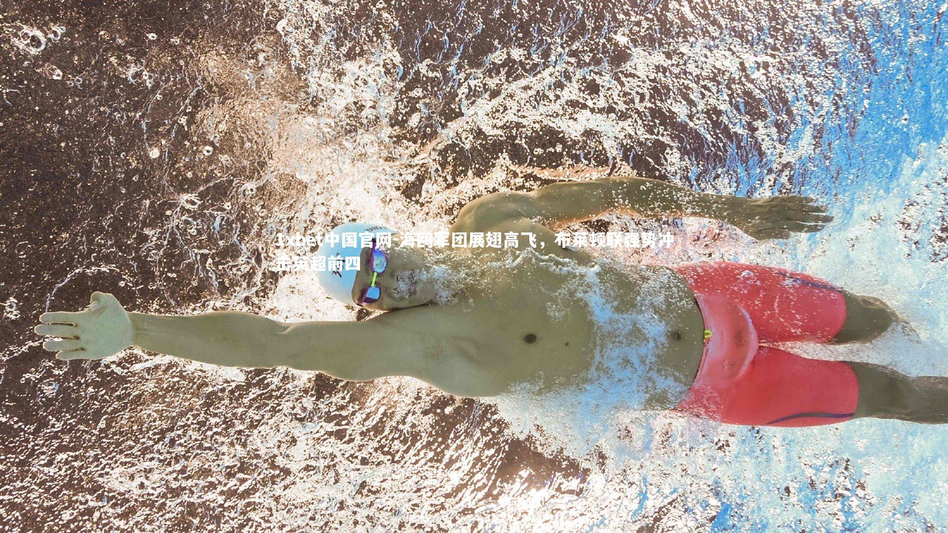 海鸥军团展翅高飞,布莱顿联强势冲击英超前四